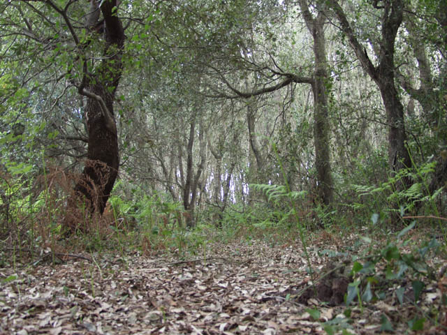 Escursione nel Salento
